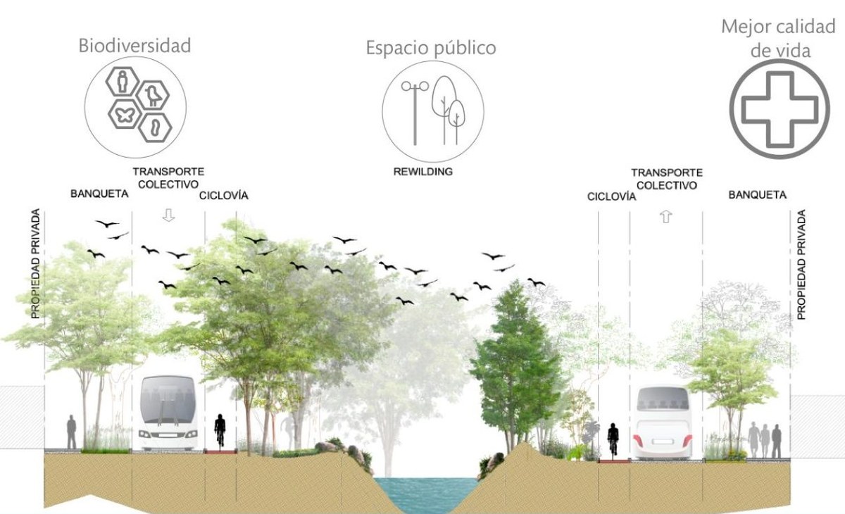 Propuesta de renaturalización del Arroyo Atemajac en Zapopan: cauce recuperado, ciclovía y ribera como espacio público — AVives Arquitectos