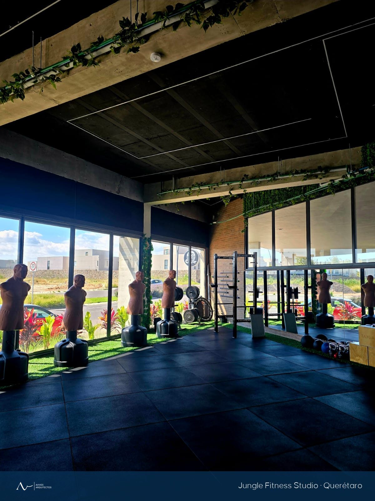 Sala de entrenamiento del gimnasio Jungle Fitness Studio en Querétaro con luz natural